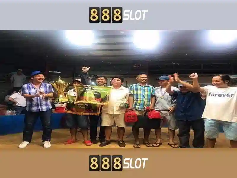 Tỷ lệ cược và rút tiền trong bảng so sánh